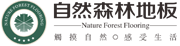 景德鎮(zhèn)卡地克陶瓷有限公司